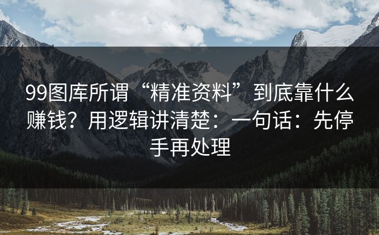99图库所谓“精准资料”到底靠什么赚钱？用逻辑讲清楚：一句话：先停手再处理