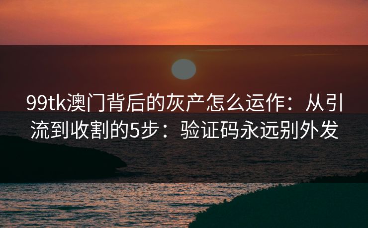 99tk澳门背后的灰产怎么运作：从引流到收割的5步：验证码永远别外发